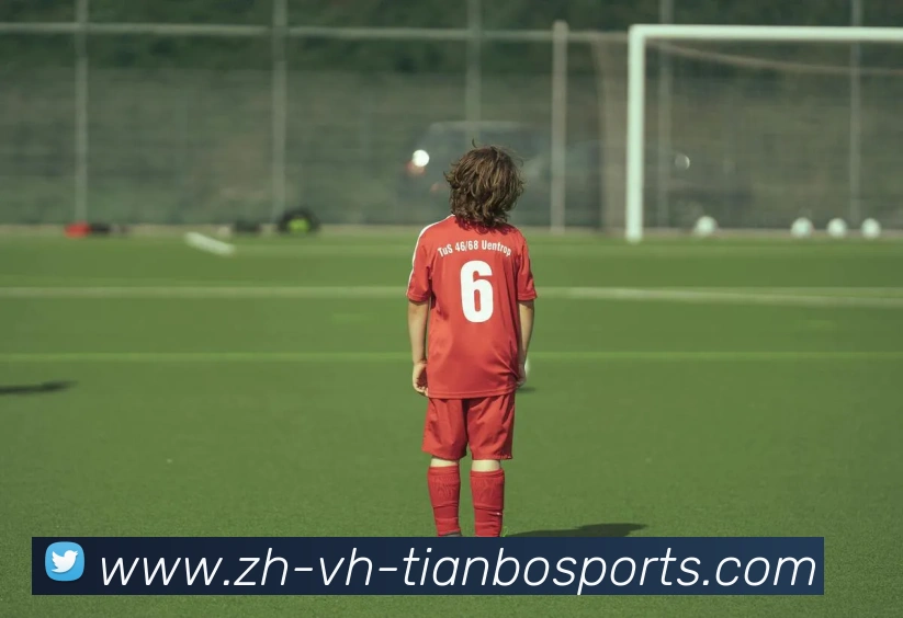 天博体育平台生态图